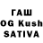 Галлюциногенные грибы Psilocybine cubensis Sando Monov