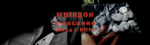 стафф Каменногорск