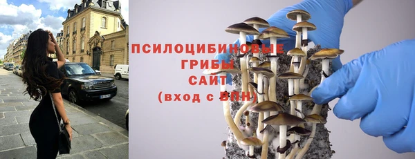 стафф Каменногорск